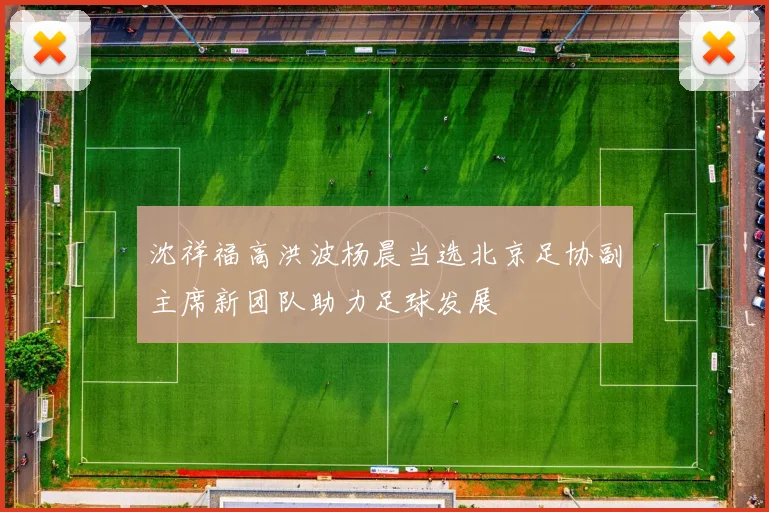 沈祥福高洪波杨晨当选北京足协副主席新团队助力足球发展